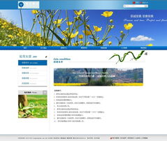 蜂業(yè)股份與漢沙科技攜手 食品酒業(yè)網(wǎng)站設(shè)計(jì)與重慶優(yōu)化的戰(zhàn)略布局